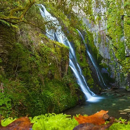 Toca Da Sede 度假居