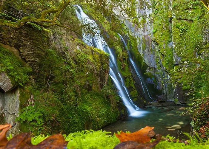 Toca Da Sede Hébergement de vacances